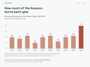 Amazon fires are spreading like a "slow-moving wave" and scientists have been watching it build for months 2 GRAF Amazon fires are spreading like a slow moving wave and scientists have been watching it build for months