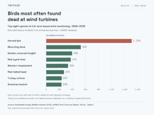 Sixteen thermal cameras on a Dutch offshore turbine flagged 22 possible bird collisions during one monitoring season 2 GRAF Sixteen thermal cameras on a Dutch offshore turbine flagged 22 possible bird collisions during one monitoring season