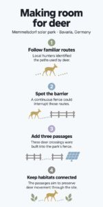 At Bavaria’s Memmelsdorf solar park, builders added three openings for deer after hunters showed where animals usually travel 2 INFG At Bavarias Memmelsdorf solar park builders added three openings for deer after hunters showed where animals usually travel