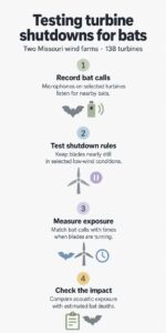 At two Missouri wind farms, microphones monitored endangered gray bats as researchers tested shutdown speeds across 138 turbines 2 INFG At two Missouri wind farms microphones monitored endangered gray bats as researchers tested shutdown speeds across 138 turbines
