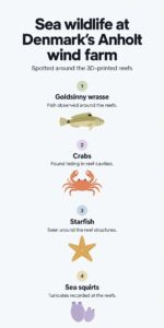 Inspections of twelve 3D-printed reefs at Denmark’s Anholt wind farm found algae, crabs, starfish, sea squirts and fish 2 INFG Inspections of twelve 3D printed reefs at Denmarks Anholt wind farm found algae crabs starfish sea squirts and fish