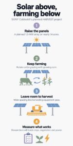 New York college plans 1.2–1.5 MW of elevated solar panels above cattle pasture and corn, with room for harvesters 2 INFG New York college plans 1.2–1.5 MW of elevated solar panels above cattle pasture and corn with room for harvesters