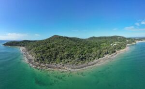 At Noosa Beach, researchers fitted two shark nets with “whale bells” to test whether passing humpbacks avoided them 2 INT At Noosa Beach researchers fitted two shark nets with whale bells 1
