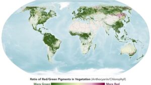 NASA's PACE satellite can now map fall foliage colors across the entire planet, every single day 2 INT NASAs PACE satellite can now map fall foliage colors across the entire planet every single day