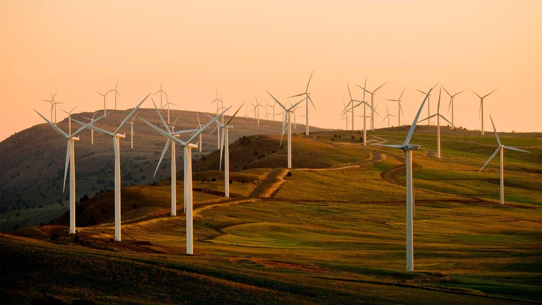 Nimbus turbines
