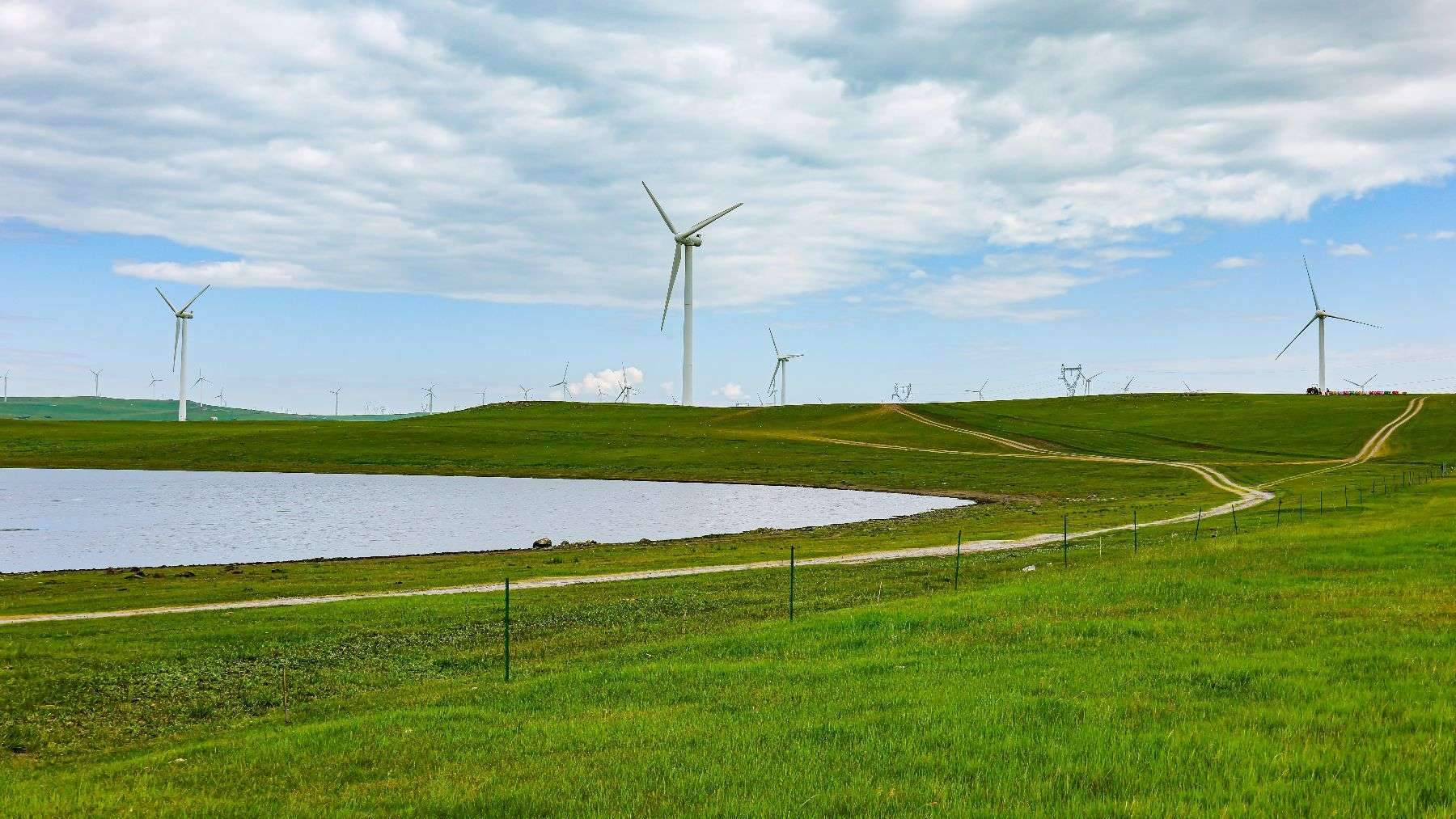 In Spain’s Asturias mountains, small ponds dug beside two wind turbines could give local amphibians new refuge and passage