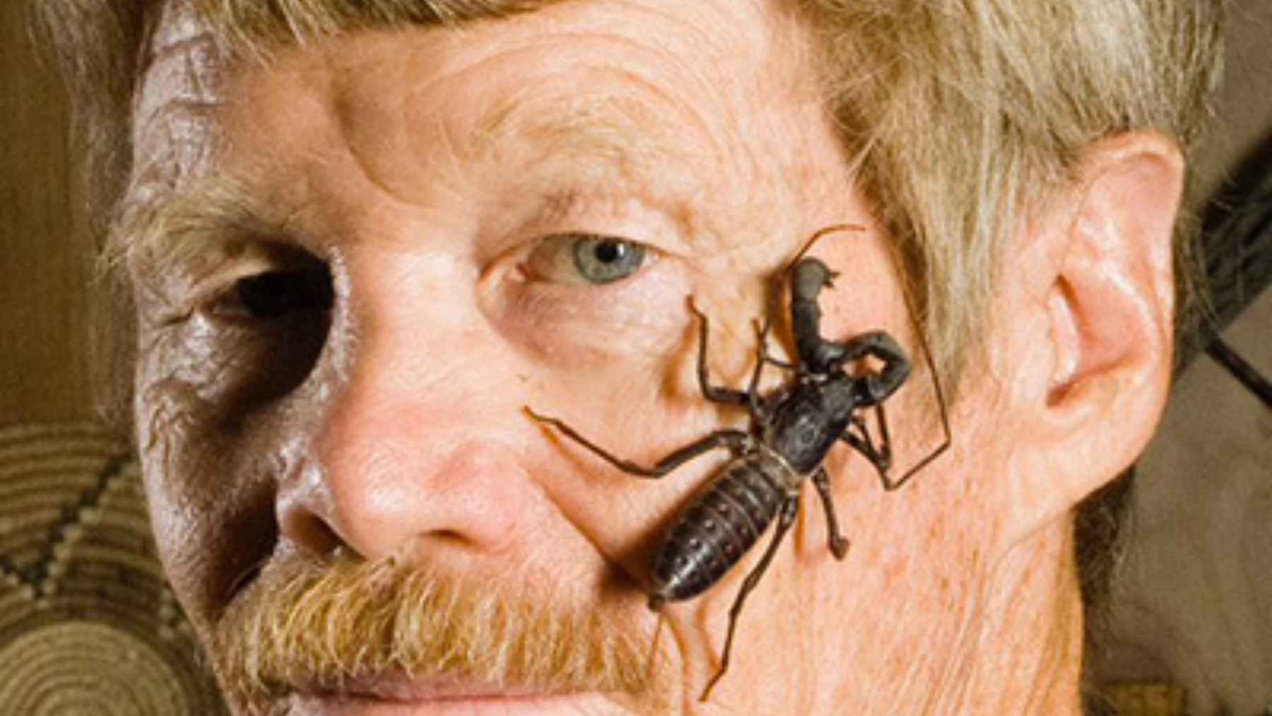 Justin insect men face