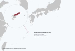Scientists in Japan’s Ryukyu Islands are building tiny offline devices to identify invasive frogs by their calls 3 MAP Scientists in Japans Ryukyu Islands are building tiny offline devices to identify invasive frogs by their calls