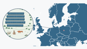 Near Berlin, a solar park built twelve wildlife refuges and planted 18,000 shrubs as foxes and hares arrived 2 MAPGRAPH Near Berlin a solar park built twelve wildlife refuges and planted 18000 shrubs as foxes and hares arrived