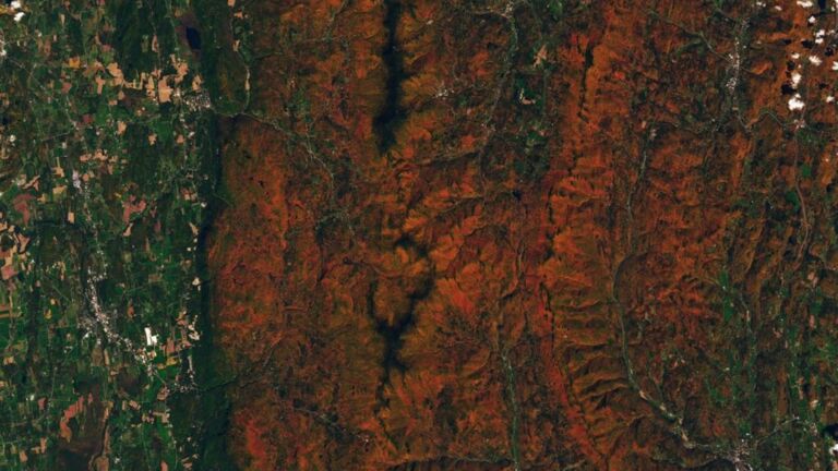 NASAs PACE satellite can now map fall foliage colors across the entire planet every single day 1
