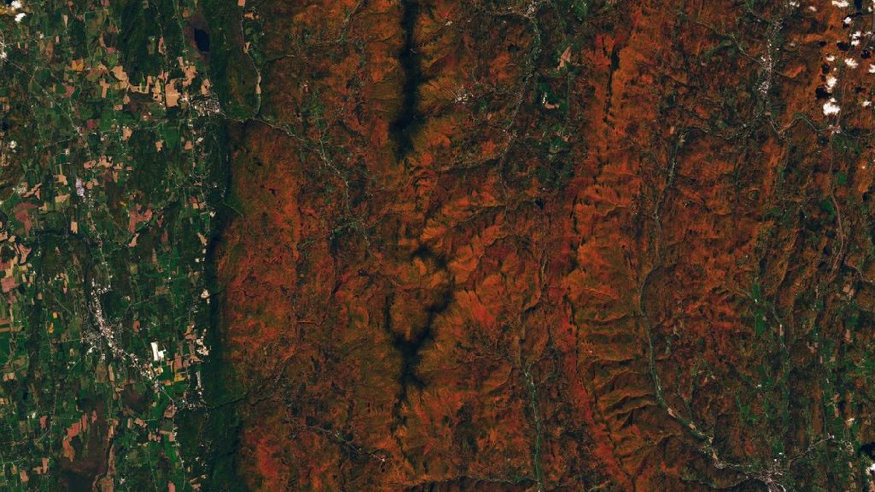 NASA’s PACE satellite can now map fall foliage colors across the entire planet, every single day