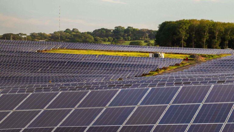 open-field solar
