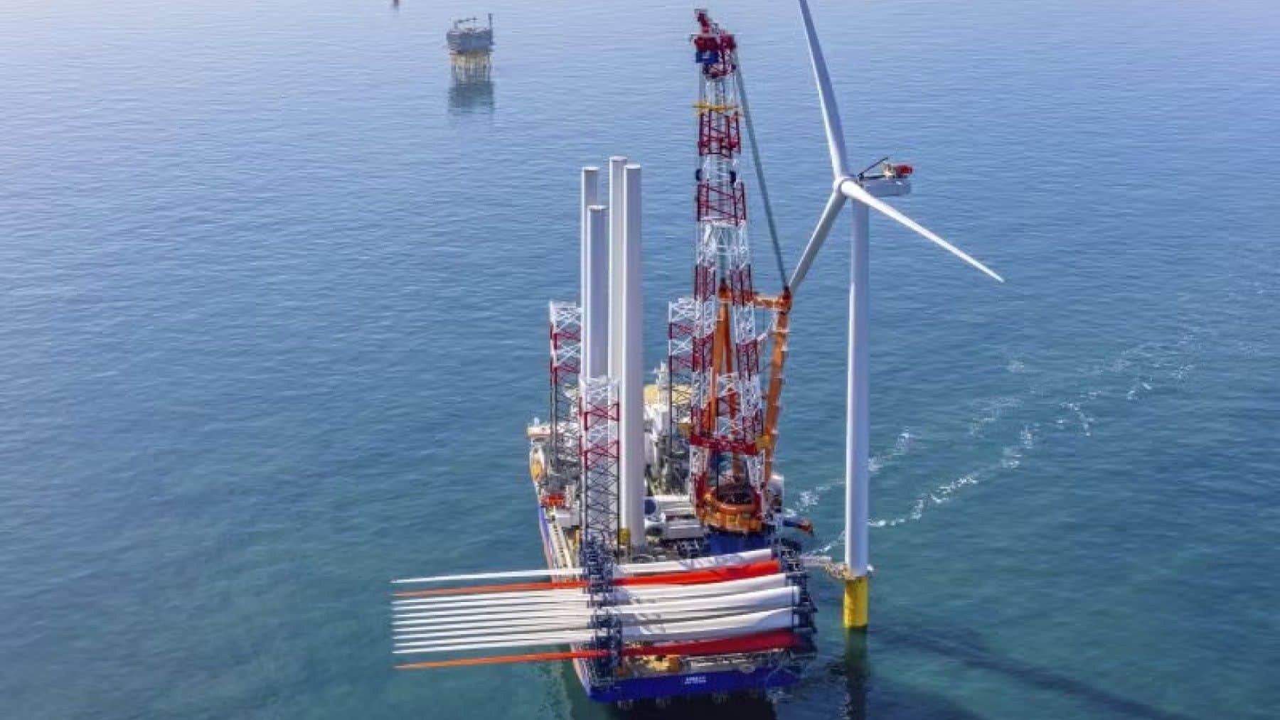 Off the Netherlands, Ecowende’s 52 turbines leave wider flight corridors while radar and AI monitor birds and bats