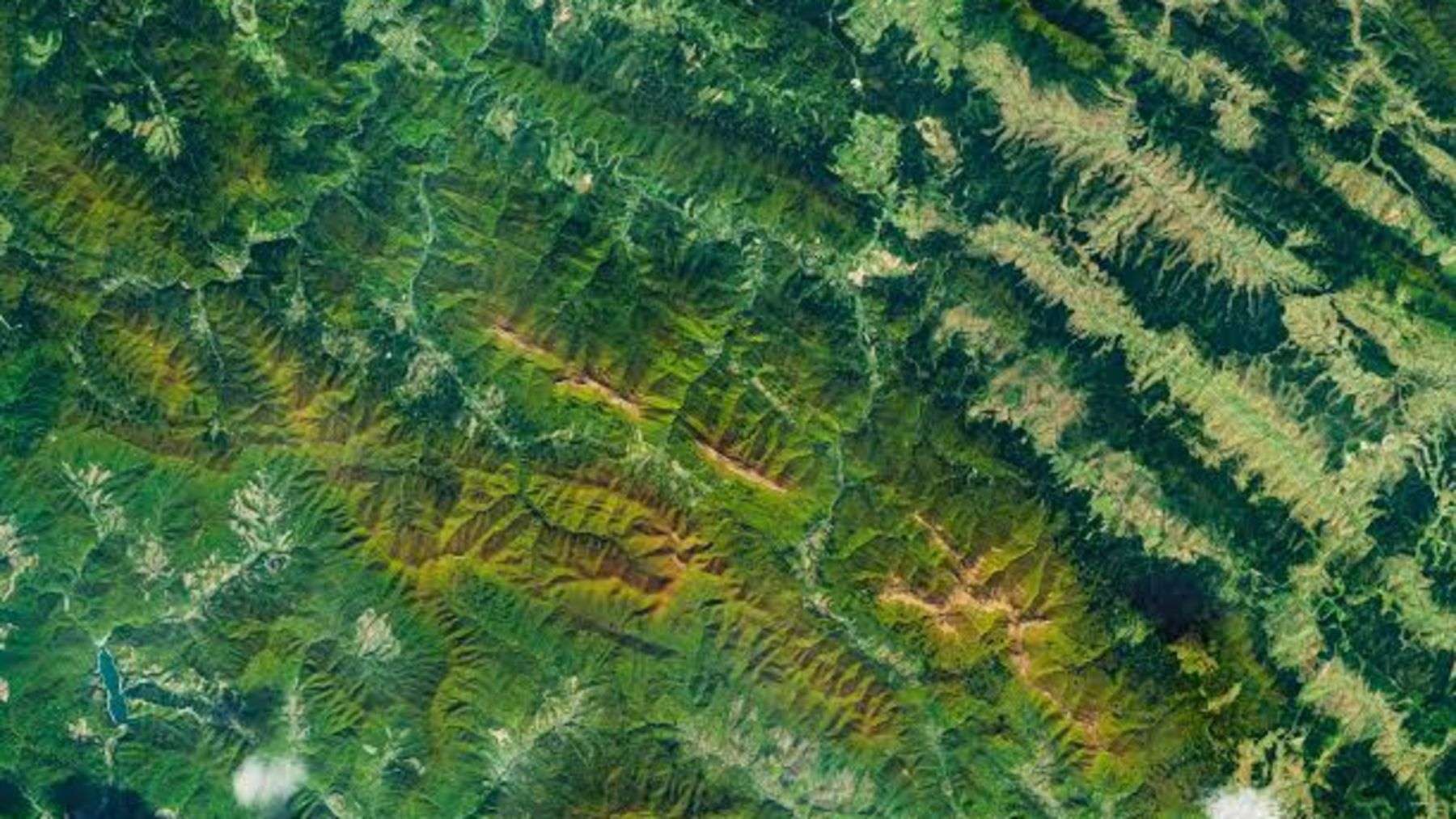 Poland's ancient mountain forests catch 