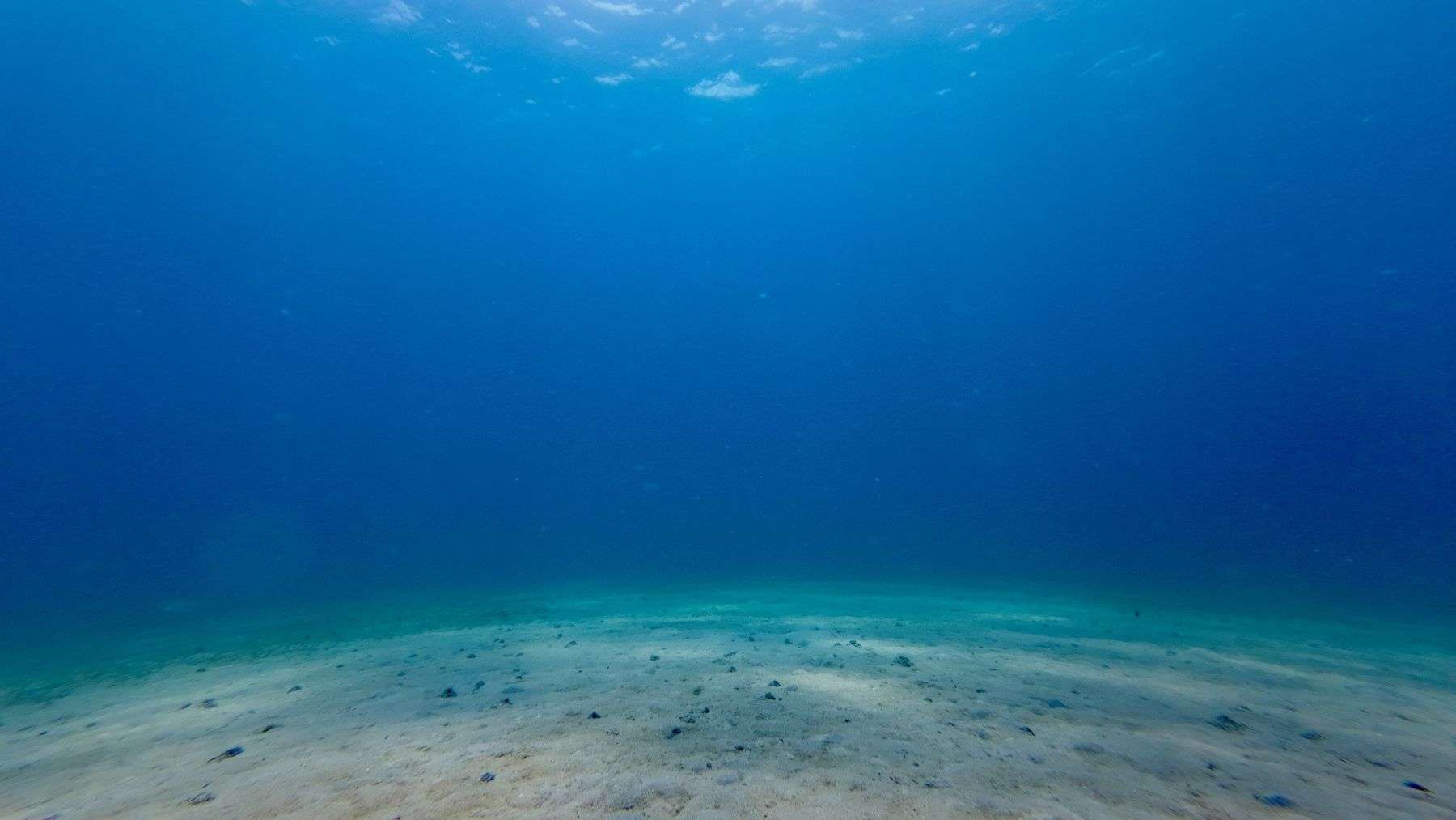Scientists cracked a 20-year argument about a mysterious “scar” hiding beneath the North Sea and found it was left by a space rock