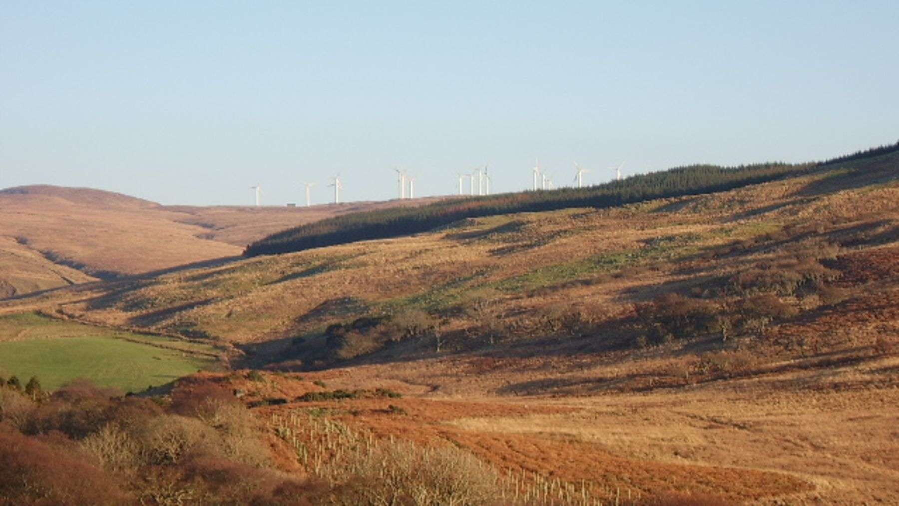 Scotland’s Beinn an Tuirc wind farm moved turbines away from eagle habitat and cleared 450 hectares of forest for moorland