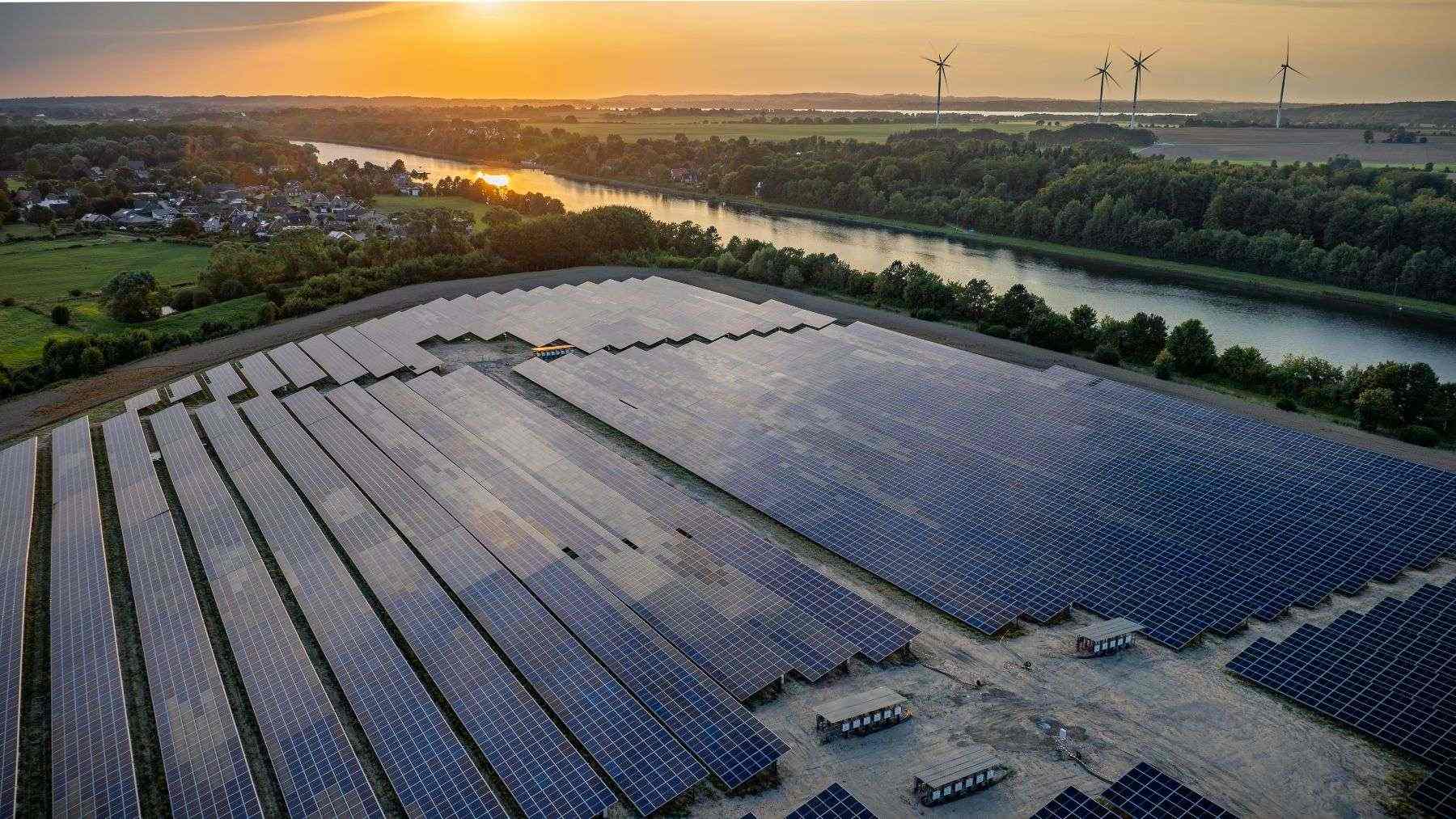 Somerset solar park seeds two patches for rare bumblebees, pauses grazing for summer flowers and fences off a badger sett