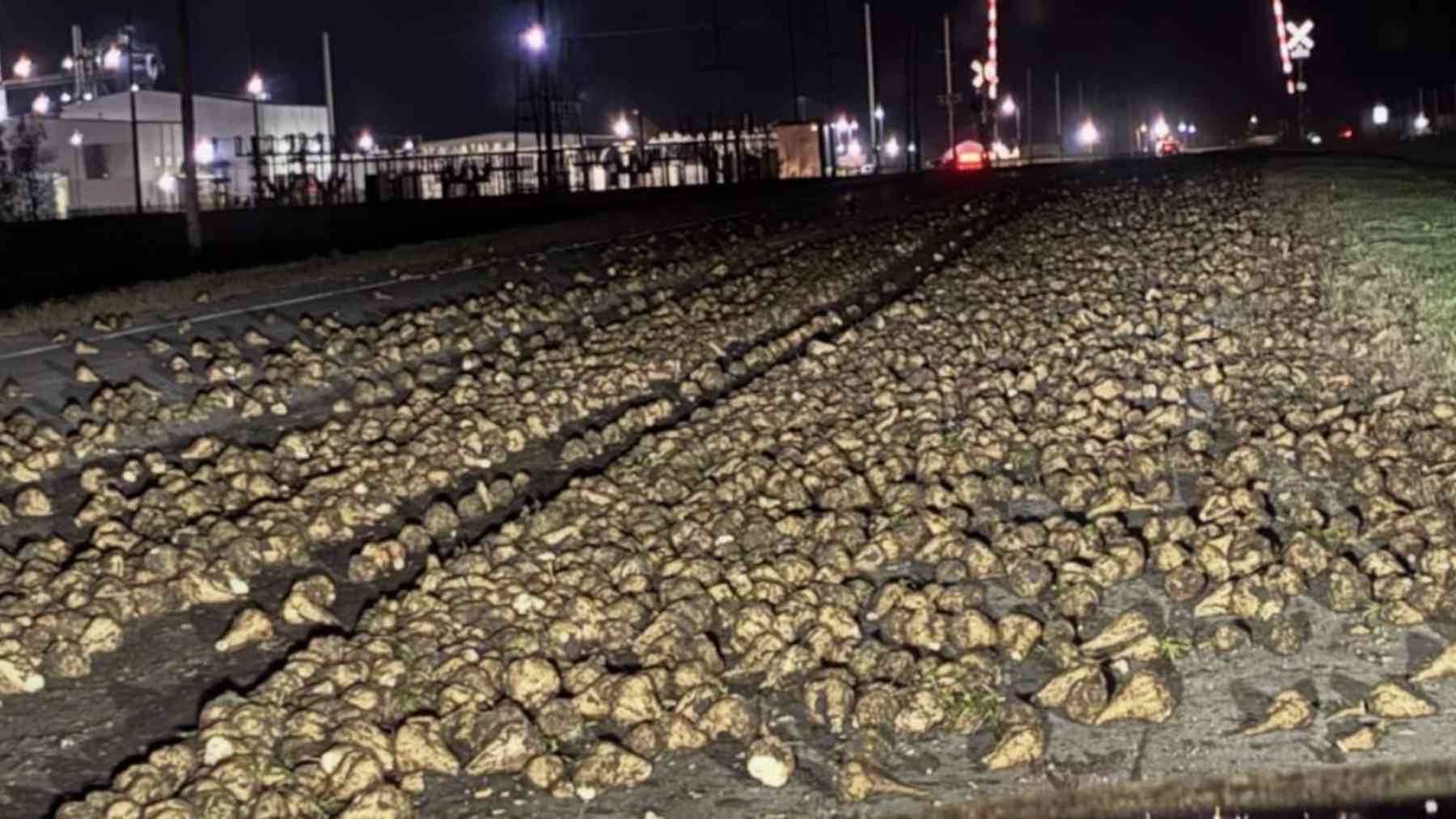 A full truckload of sugar beets covered a North Dakota county road near a railroad crossing, and a nearby farmer cleared it in five minutes flat