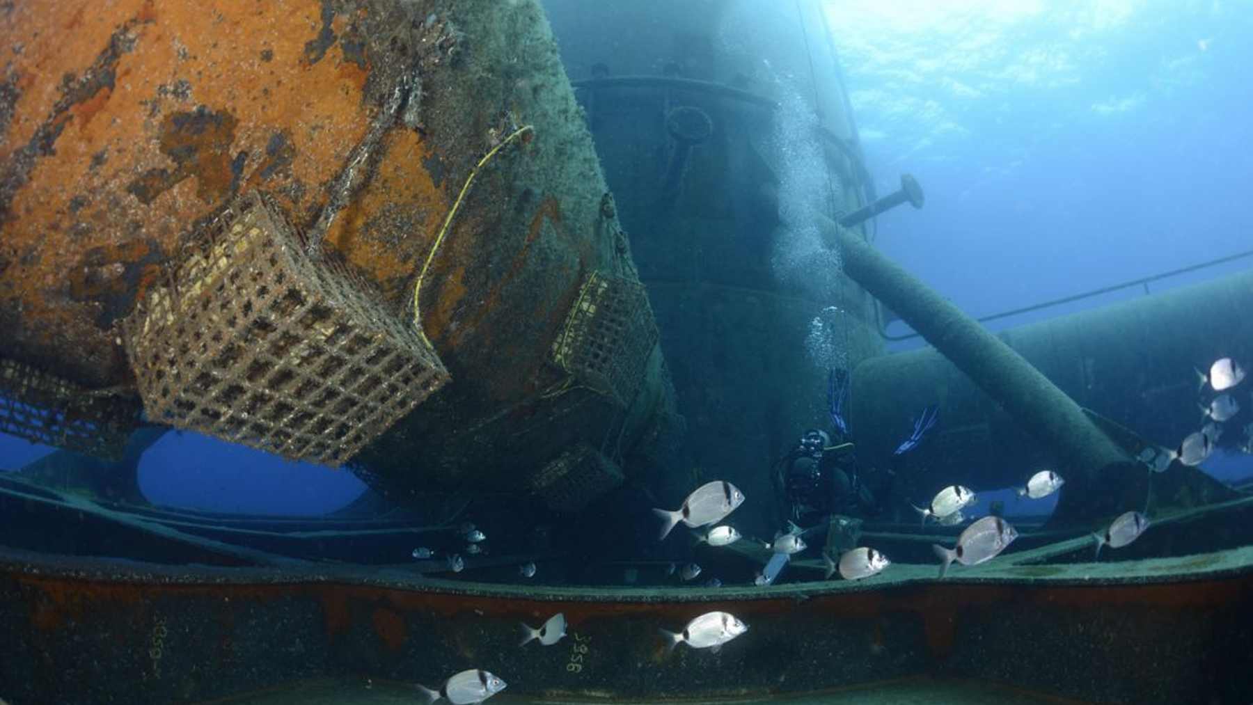 Divers bolt an oyster shell cage onto a floating turbine for a fish nursery, off france s
