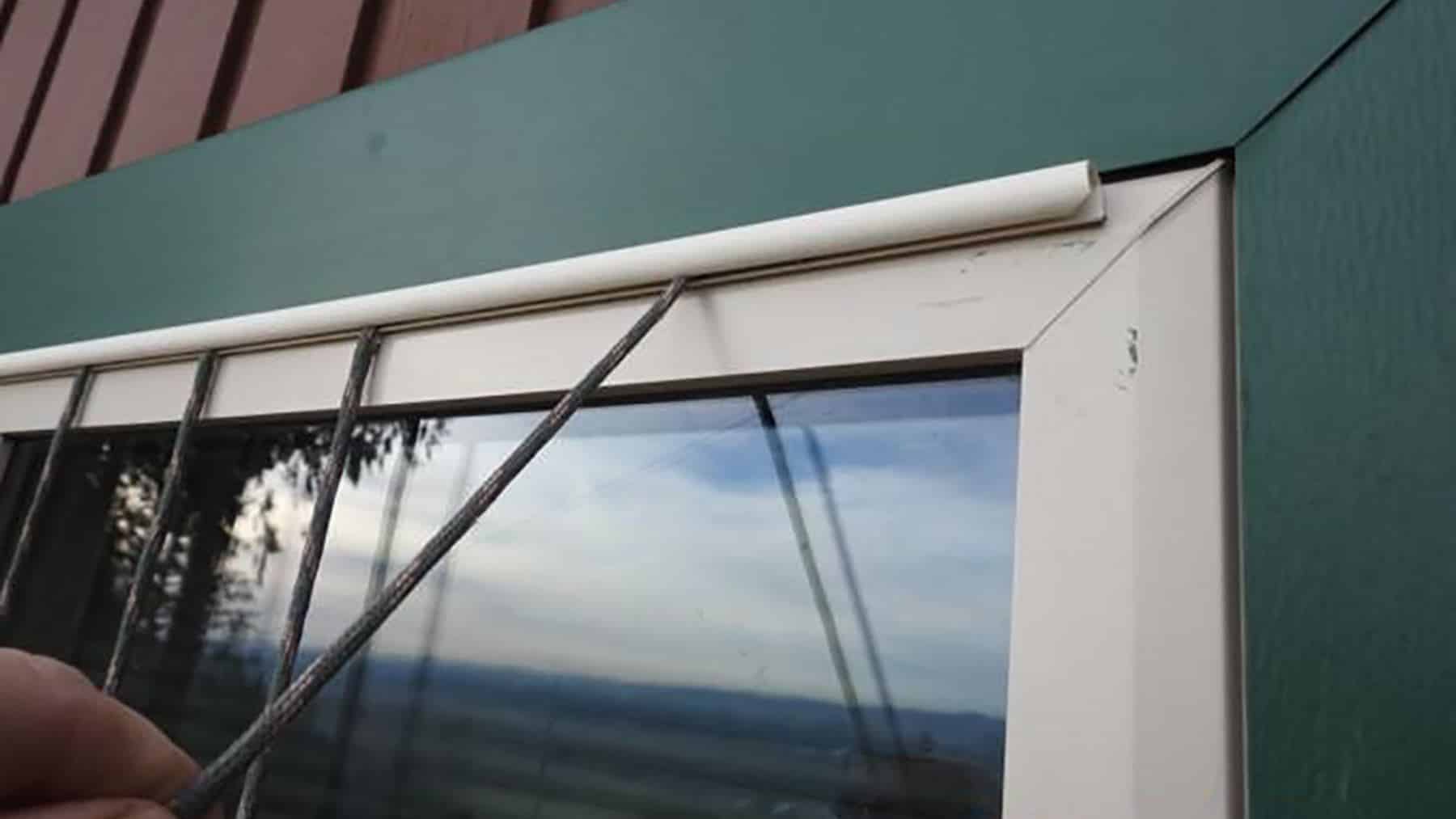 Dark paracord curtains hanging outside a window to cut bird strikes, pennsylvania father spaced