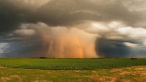 Wet microburst near Clovis produced 85-mph winds across a 50-yard-wide path 20 microburst damage