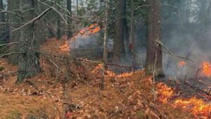 A wildfire in rugged country northwest of Marquette has grown to about 466 acres, and a full inch of rain soaking the forest overnight still did not put out what is burning underground 8 Smoke rises from wet forest duff where a wildfire still burning after rain near Marquette, rugged country northwest