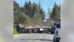 A truck hauling beehives overturned on a rural Washington road, and the official count of escaped bees was revised down to roughly 14 million 9 Beekeeper lifting hive box after Washington bee truck crash scatters colonies on highway, truck hauling beehives