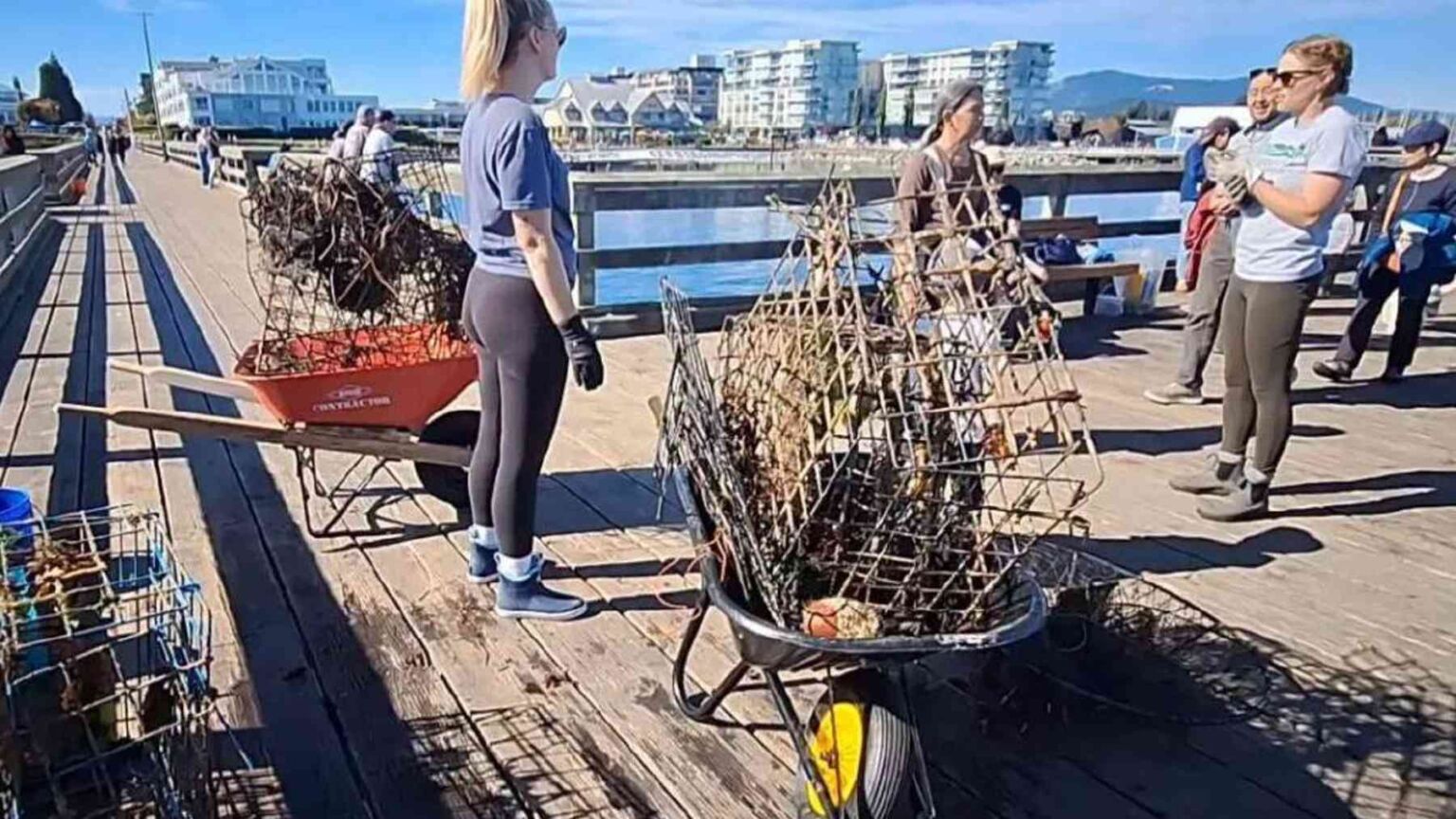 Volunteer divers pulled about 550 pounds of lost crab traps, rope and ...