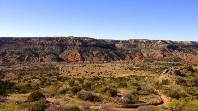 Weathered fence post on the Palo Duro Canyon rim overlooking the gorge below, 3 048 acres