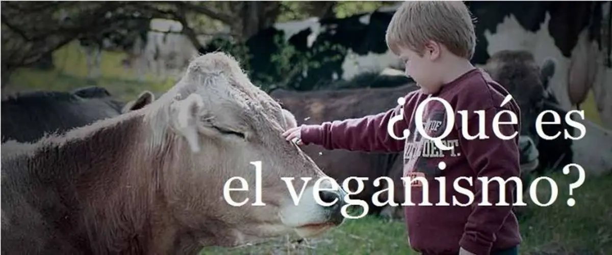 ¿Qué es un Vegano? Entrevista a David Román(*) 7 ¿Qué es un Vegano? Entrevista a David Román(*)