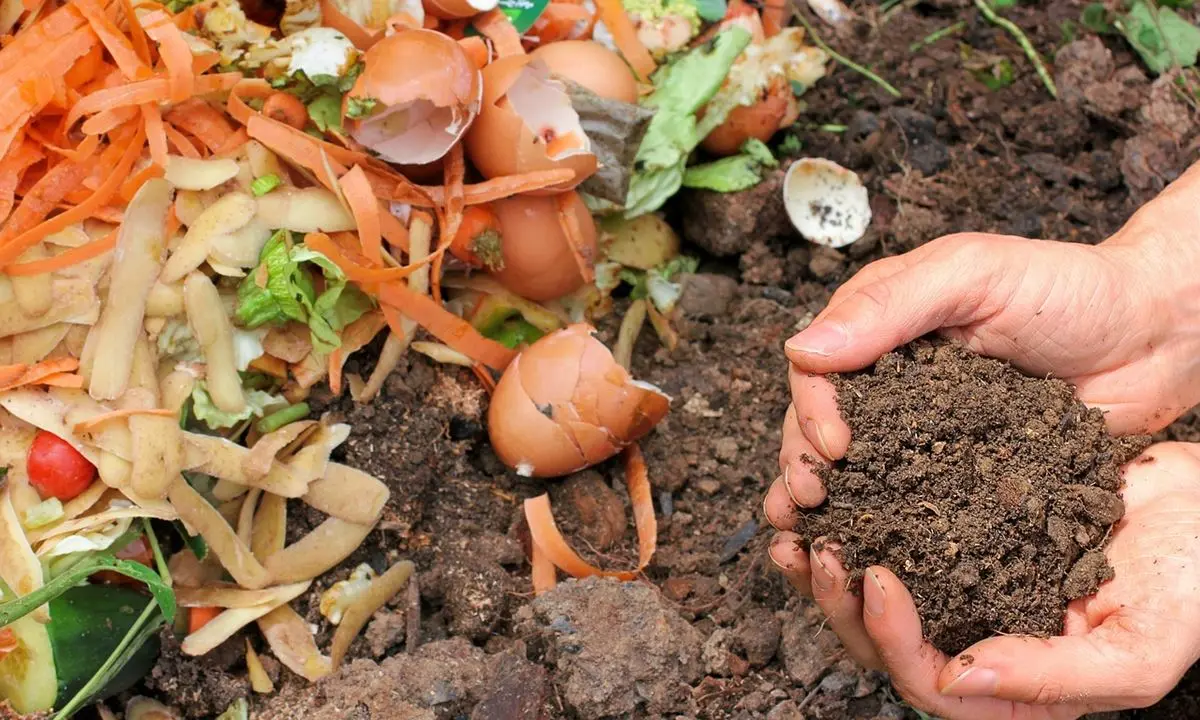 Compost Doméstico, Ecológico y Económico 2 Compost Doméstico, Ecológico y Económico
