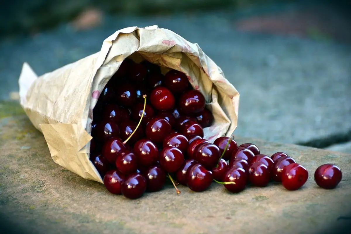 Cereza, una fruta deliciosa y con múltiples propiedades