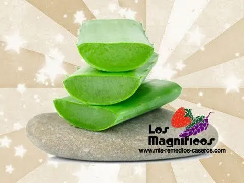 5 Remedios y trucos caseros con Sávila (Aloe Vera) 3 5 Remedios y trucos caseros con Sávila (Aloe Vera)