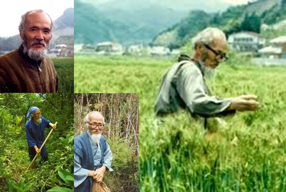 Masanobu Fukuoka: Agricultura sin esfuerzo 2 Masanobu Fukuoka: Agricultura sin esfuerzo