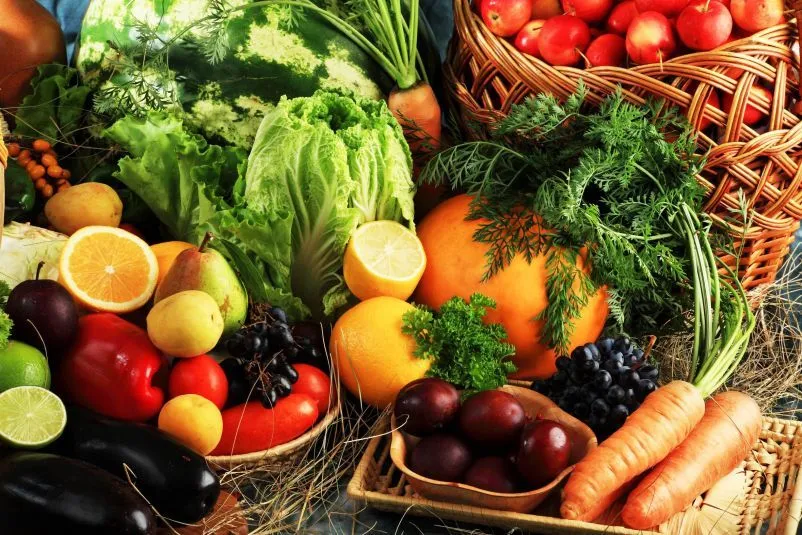 Tierra y alimentos sanos: una lucha para todos 1 Tierra y alimentos sanos: una lucha para todos