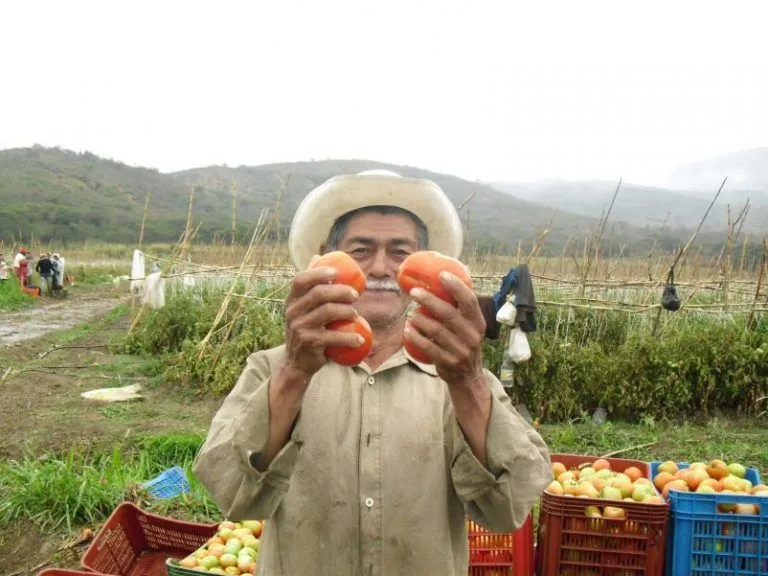 Análisis preliminar sobre transferencia de tecnología agroecológica en Venezuela 7 Análisis preliminar sobre transferencia de tecnología agroecológica en Venezuela