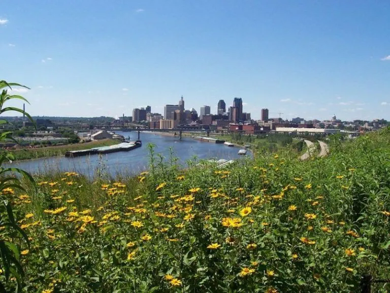 Pesticidas urbanos contaminan el 90% de los ríos de Estados Unidos