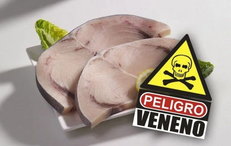 Contaminación en pescado con mercurio. Peligrosa tendencia al alza 5 Contaminación en pescado con mercurio. Peligrosa tendencia al alza