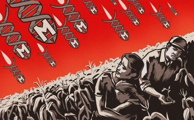 Glifosato en 28 millones de hectáreas: “No experimentan más con nuestro pueblo” 3 Glifosato en 28 millones de hectáreas: “No experimentan más con nuestro pueblo”