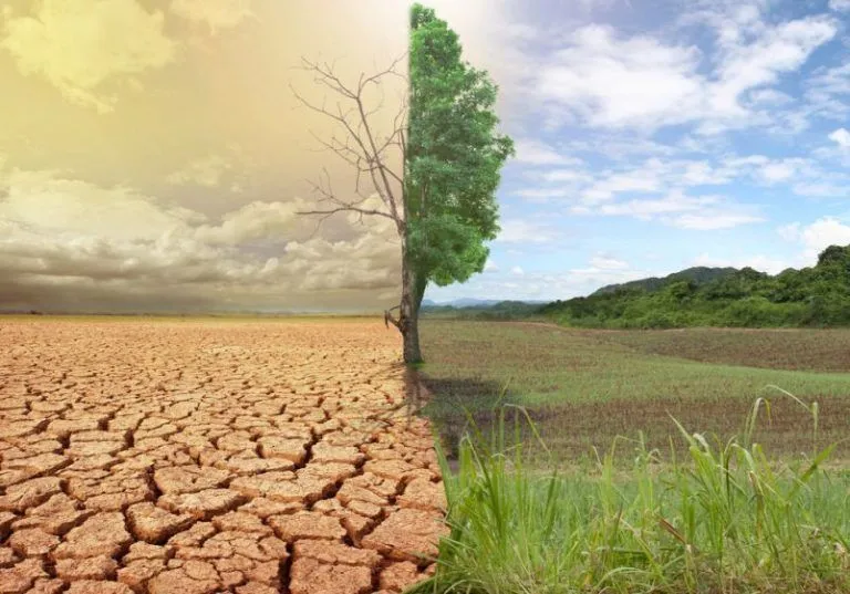 Apenas queda tiempo para frenar el cambio climático 3 Apenas queda tiempo para frenar el cambio climático