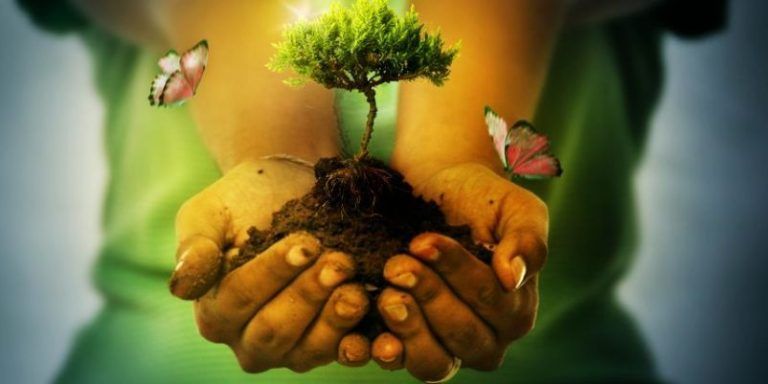 Los obstáculos de la Educación Ambiental 4 Los obstáculos de la Educación Ambiental