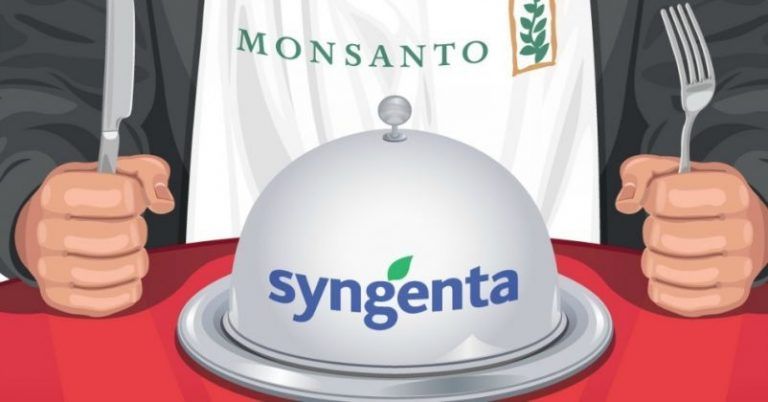 Monsanto + Syngenta: los gigantes del agronegocio se consolidan 5 Monsanto + Syngenta: los gigantes del agronegocio se consolidan