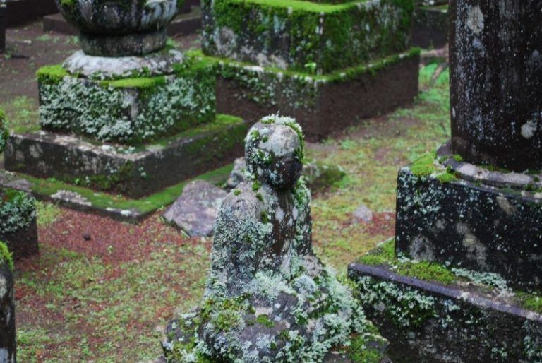 10 Hermosas palabras japonesas que no existen en español 3 10 Hermosas palabras japonesas que no existen en español