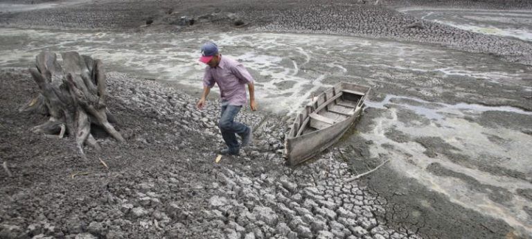 El Niño y las peores sequías para 2016 4 El Niño y las peores sequías para 2016