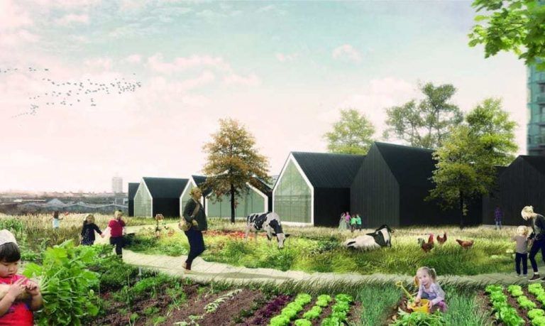Cómo enseñar a los niños a cultivar sus propios alimentos 8 Cómo enseñar a los niños a cultivar sus propios alimentos