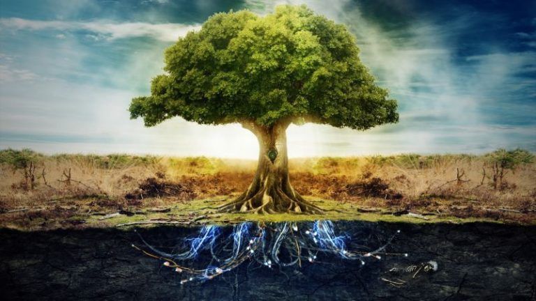 El Día de la Madre Tierra coincide con la firma del Acuerdo de París 7 El Día de la Madre Tierra coincide con la firma del Acuerdo de París