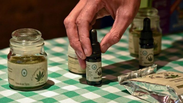 10 cosas que debes saber sobre la legalización de la marihuana medicinal en Colombia 3 10 cosas que debes saber sobre la legalización de la marihuana medicinal en Colombia