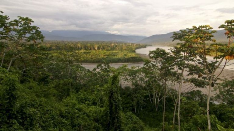 Colombia, Ecuador y Perú apuestan por incluir un enfoque indígena en la gestión de los bosques 6 Colombia, Ecuador y Perú apuestan por incluir un enfoque indígena en la gestión de los bosques