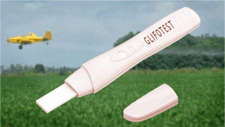 Desarrollan un test de detección de glifosato 1 Desarrollan un test de detección de glifosato