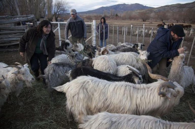 Innovaciones de productores latinoamericanos contribuyen a adaptación al cambio climático 9 Innovaciones de productores latinoamericanos contribuyen a adaptación al cambio climático